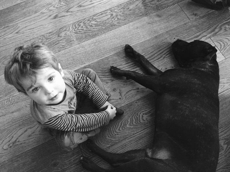 Dog Becomes A Nanny For A Baby Girl At Night