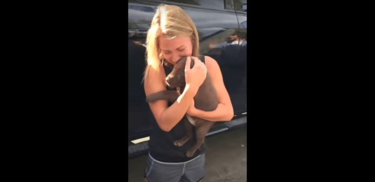 Lucky Lady Gets A Puppy And A Marriage Proposal At The Same Time