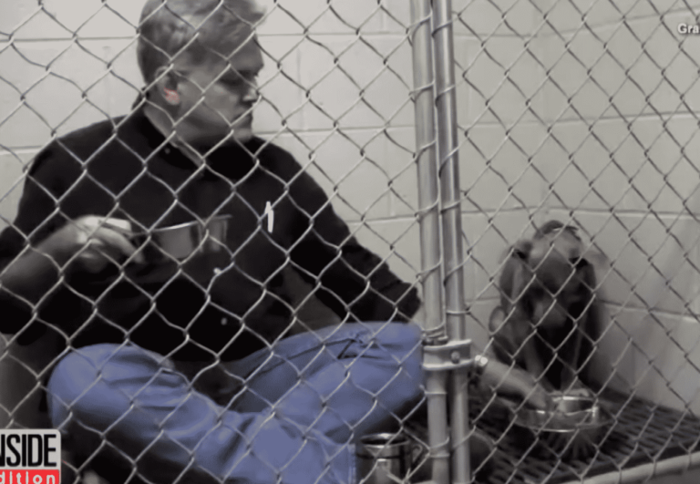This Veterinarian Eats Breakfast With This Rescue Dog To Help Her Overcome Her Fears