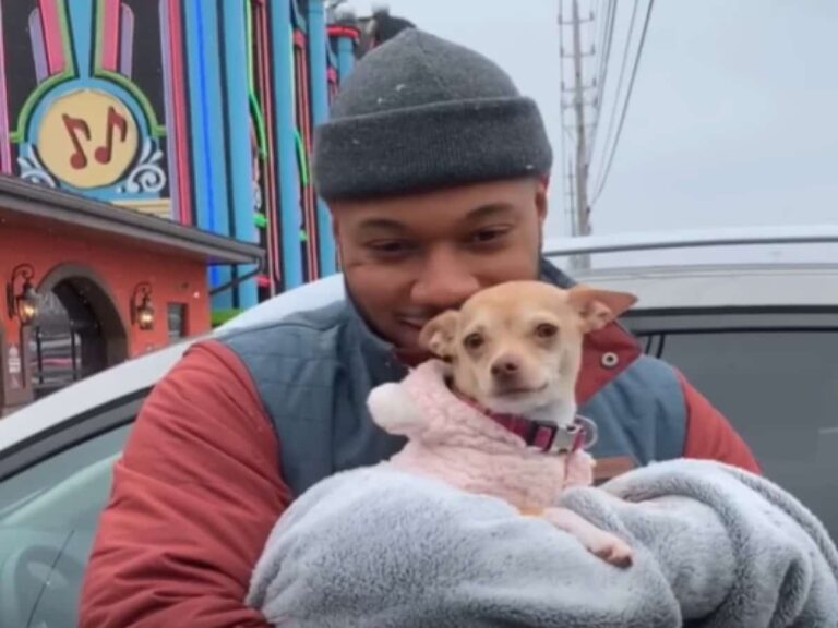 Big Man With A Fear Of Small Dogs Falls In Love With His Wife’s Chihuahua