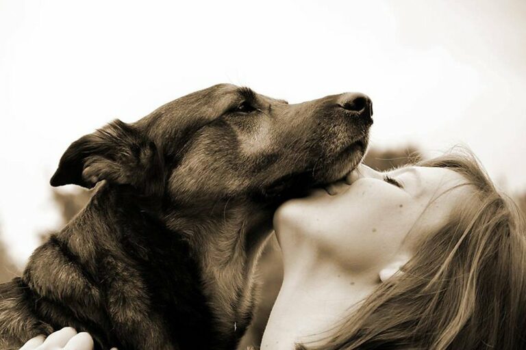 A Dog Who Was Separated From His Mom Got Reconnected With Her After Two Years