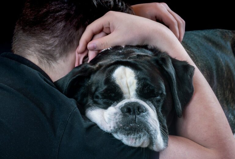 Photo Of Two Dogs Hugging In An Animal Shelter Touched A Woman’s Heart And Decided To Save Them