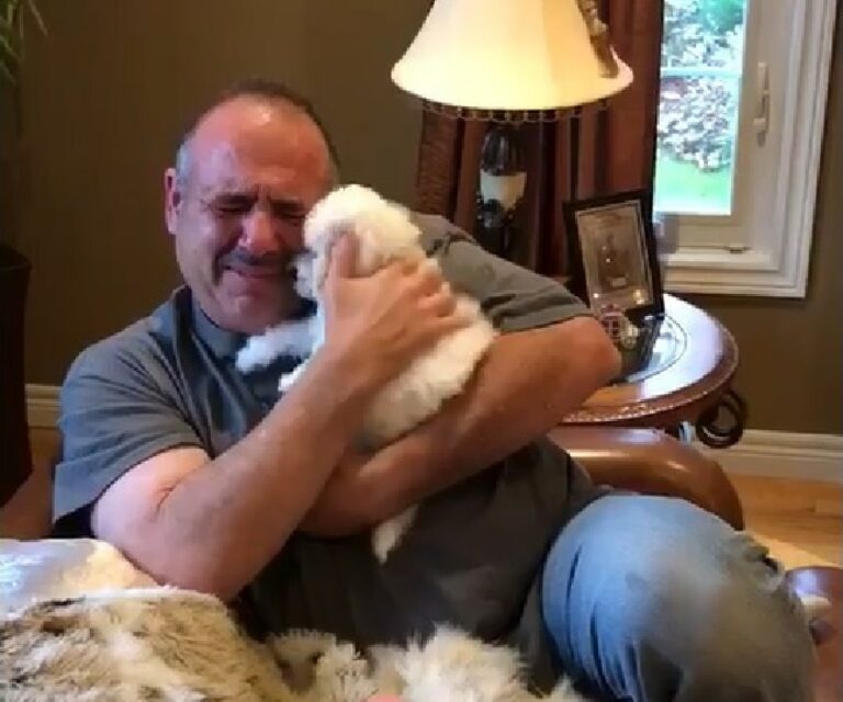 Man Who Lost His Two Dogs Gets A Birthday Gift That He Deserved – A New Puppy!