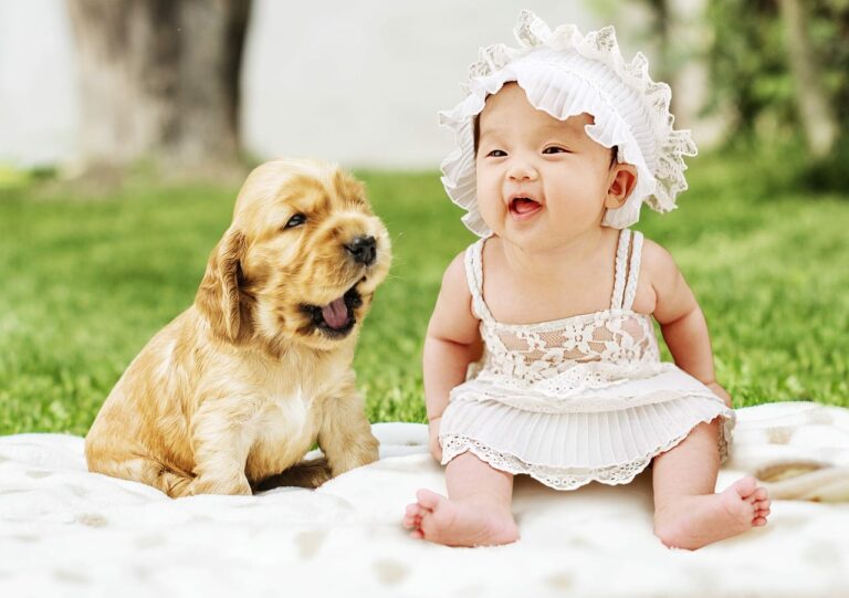 Dad Captures Dog And Baby Playing Together, And It’s The Cutest Thing You’ll Ever See!