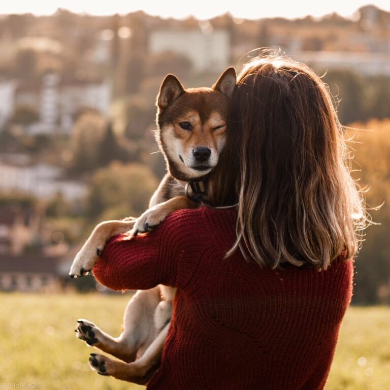 Brave Father Puts His Own Life In Danger To Rescue His Daughter’s Pet Dog From Being Attacked By A Cougar