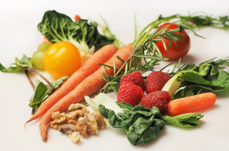 Benefits Of Raw Food To Your Dogs