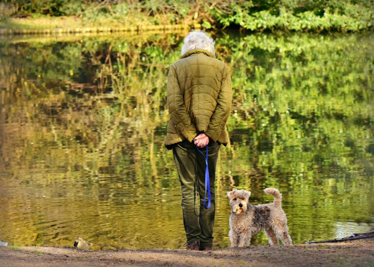 Dog Is Saved By His Owner After Being Attacked By An Alligator