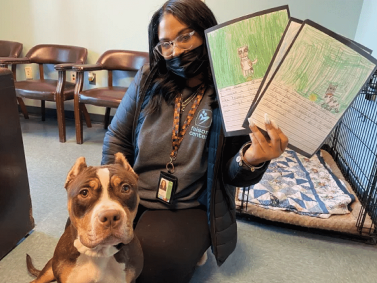 A Teacher Asked Students To Write A Persuasive Essay From The Point Of View Of Real Shelter Dogs – And The Results Were Amazing