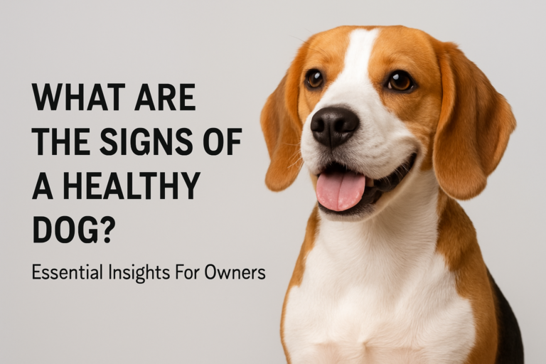 what are the signs of a healthy dog