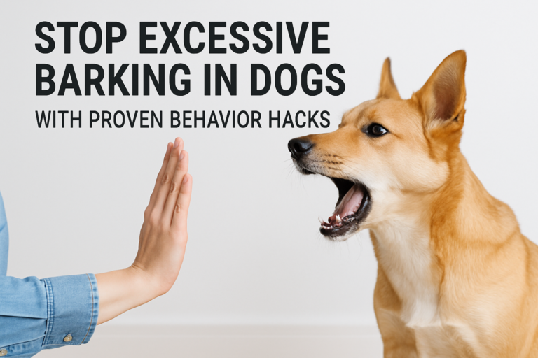 How to Stop Excessive Barking in Dogs