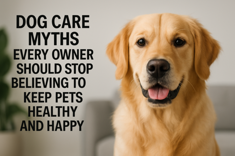 Dog Care Myths Every Owner Should Stop Believing