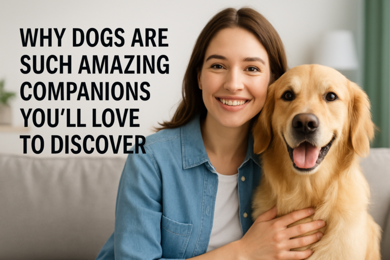 Why Dogs Are Such Amazing Companions